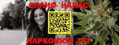 гашик Нальчик