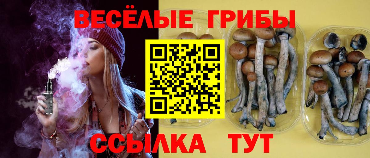 Сыктывкар  Псилоцибиновые грибы мицелий  Вход с VPN 